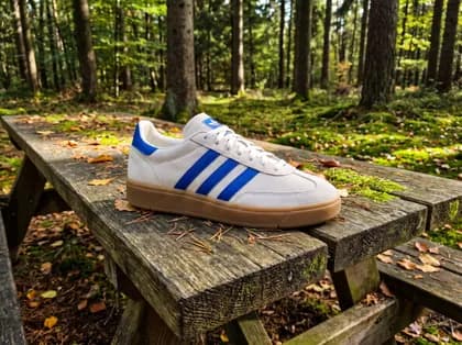 The sneaker in profile on a weathered picnic table, sunlit pine forest behind it.